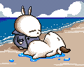 bunny4.gif